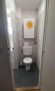 a bathroom with a toilet with a picture on the wall at Vybavený byt v centru Jeseníku in Jeseník +8 photos