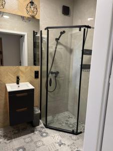 Ένα μπάνιο στο Apartament Puck Holliday