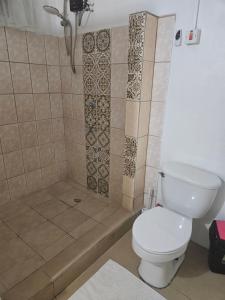 a bathroom with a toilet and a shower at Little paradise in Saint Georgeʼs