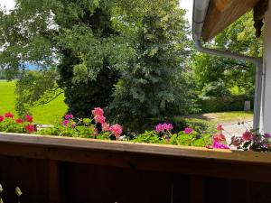 a window view of a garden with pink flowers at FeWo Feil süd in Freilassing