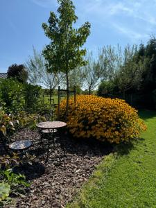 a table and chairs in front of a bush at unique hideaway, holiday house with large garden in Kortenaken +65 photos