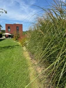 a field of tall grass next to a brick building at unique hideaway, holiday house with large garden in Kortenaken