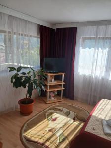 a living room with a potted plant and a television at Casa Bogdan in Buşteni