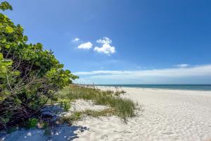 a sandy beach with grass and the ocean in the background at Vitamin Seaside Open August 17th and 18th! in Longboat Key