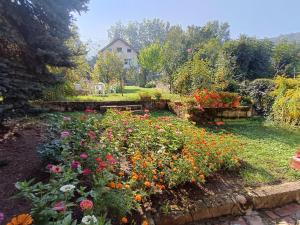 Κήπος έξω από το Villa Gracia