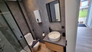 a bathroom with a sink and a toilet and a mirror at Ferienhaus Friesenengel in Dornumersiel +19 photos