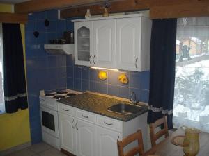 a small kitchen with a sink and a stove at Chata u Kempu in Jedovnice