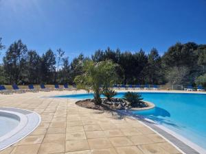 ein Schwimmbad mit einer Palme in der Mitte in der Unterkunft Appartement cosy sous pinède lac de Biscarrosse rénové in Biscarrosse