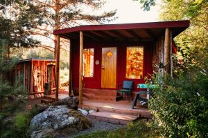 Κήπος έξω από το Pioneer Cabin - Wilderness Adventures Sweden