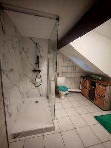 a bathroom with a shower and a toilet at Nice studio in Paris suburbs in Épinay-sur-Seine