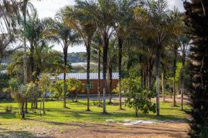 a group of palm trees in front of a building at Casa Jaú in Novo Airão