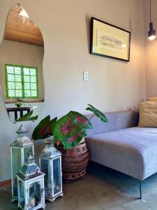 a living room with a couch and a plant at Casa Jaú in Novo Airão
