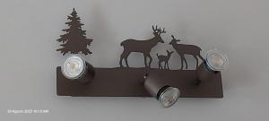 een klok met drie herten aan de muur met verlichting bij La cò viéyi - La casa vecchia in Ala di Stura