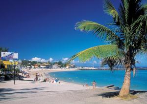 a beach with a palm tree and people in the water at Villa O'rizon Bleu - Piscine XXL et vue mer panoramique sur St Gilles les Bains in Saint-Gilles les Bains