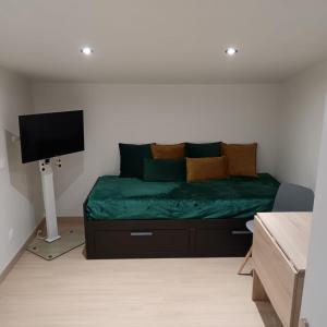 Μια τηλεόραση ή/και κέντρο ψυχαγωγίας στο Studio chez l'habitant