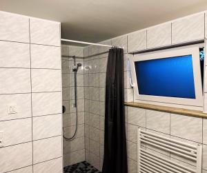 a bathroom with a shower and a tv on the wall at Spreewiesen Quartier in Spreenhagen