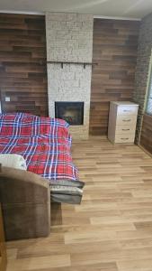 a bedroom with a fireplace and a bed and a couch at Хостел Твій Дім в Пирятині in Pyryatyn