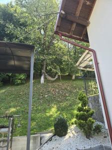 Φωτογραφία από το άλμπουμ του Pensiunea Daniela σε Moisei