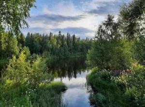 a river with trees on the side of it at Cozy two-room apartment with sauna in Sodankylä