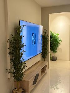 einen Flachbild-TV auf einem hölzernen Entertainment-Center in der Unterkunft شقة الراحة in Tabuk