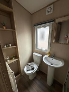 a small bathroom with a toilet and a sink at Chichester Lakeside holiday park in Merston