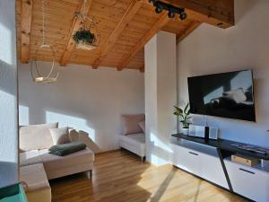 Una sala de estar con un sofá y un televisor de pantalla plana. en Zilleralps Fewo, en Hart im Zillertal