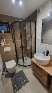 a bathroom with a shower and a toilet and a sink at Pod Chmurką in Solina