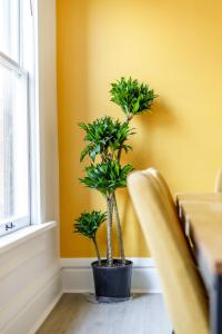 due palme in una stanza con una parete gialla di Short North Convention King Bed Free Parking! a Columbus