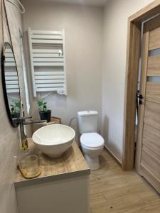 Ένα μπάνιο στο Wiejski Raj- Apartamenty +16 φωτογραφίες