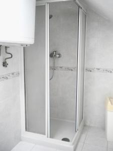 La salle de bains est pourvue d'une douche avec une porte en verre. dans l'établissement Agriturismo Bosco Fiorito, à Muggia