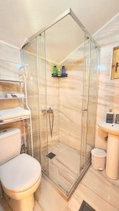 a bathroom with a shower with a toilet and a sink at Alpet in Vusanje