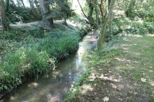 a stream of water in a field with trees at Le Petit Étang in Passais-la-Conception