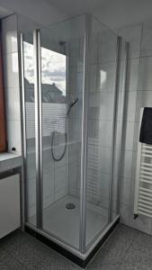 a shower with a glass door in a bathroom at Quartier Levi in Oberhausen +37 photos