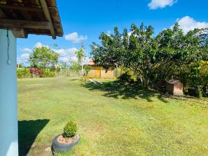 a yard with a small tree and a house at Recanto do Rancho Trancoso in Porto Seguro