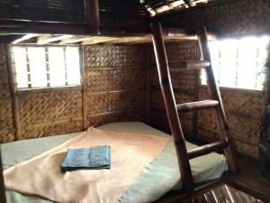 een stapelbed met een ladder in een kamer bij Solaya Cove Private Resort in Bansud