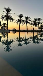 Fotografie z fotogalerie ubytování Dar Jamila - Au coeur de l'Oasis - v destinaci Gabès + 32 fotografií