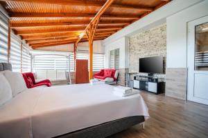 - une grande chambre avec un grand lit et une télévision dans l'établissement NEAR BY THE LAND OF LEGENDS , ViLLA ROSE, à Belek