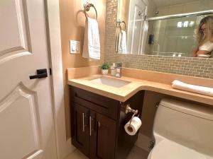 Ένα μπάνιο στο Cozy 1 Bedroom Suite