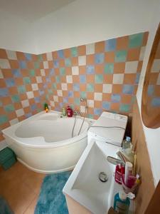 a bathroom with a bath tub and a sink at Apartmán u Čertova mlýna Zelezna Ruda in Špičák