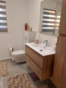 a bathroom with a sink and a toilet and a mirror at Maison Lesve in Profondeville +22 photos