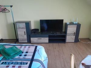 a living room with a tv and a entertainment center at Apartament Przytulny in Ogrodzieniec