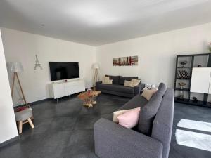a living room with a couch and a tv at Le Jardin Minelle in Arras