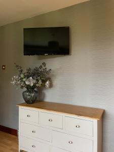 TV a/nebo společenská místnost v ubytování Cosy Countryside Apartment near Belfast + 29 fotografií