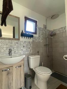 a bathroom with a toilet and a sink and a mirror at Vila Malina in Gaberje