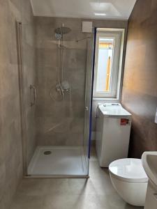 a bathroom with a shower and a toilet at Domki nad Krzyworzeką in Dobczyce