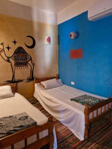 a bedroom with two beds and a blue wall at New Perry's Island in Nuweiba‘ el Muzeinah
