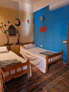 a bedroom with two beds and a blue wall at New Perry's Island in Nuweiba‘ el Muzeinah +34 photos
