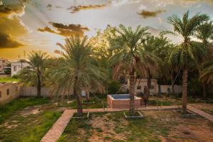 eine Gruppe von Palmen in einem Hof mit Pool in der Unterkunft The Garden Inn نزل الحدیقة in Nizwa