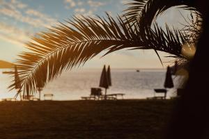 a group of chairs and umbrellas on the beach at Apartments Meri - 1 in Lopar +2 photos