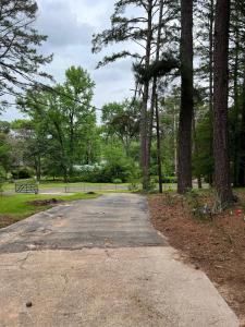 an empty road in a park with trees at Grace Meadows in Tyler